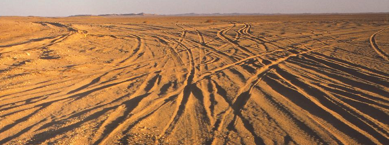 tracks cross in the sahara desert